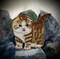 Scottish Fold Cat, Kitten, Realistic Pets, Embroidered, Iron on Patch